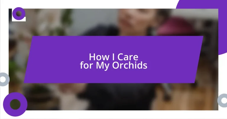 How I Care for My Orchids