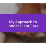 My Approach to Indoor Plant Care