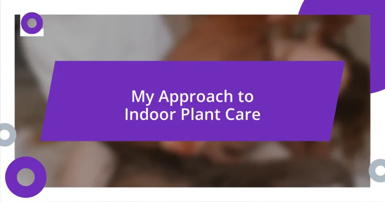 My Approach to Indoor Plant Care