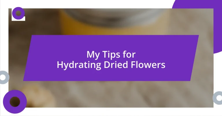 My Tips for Hydrating Dried Flowers