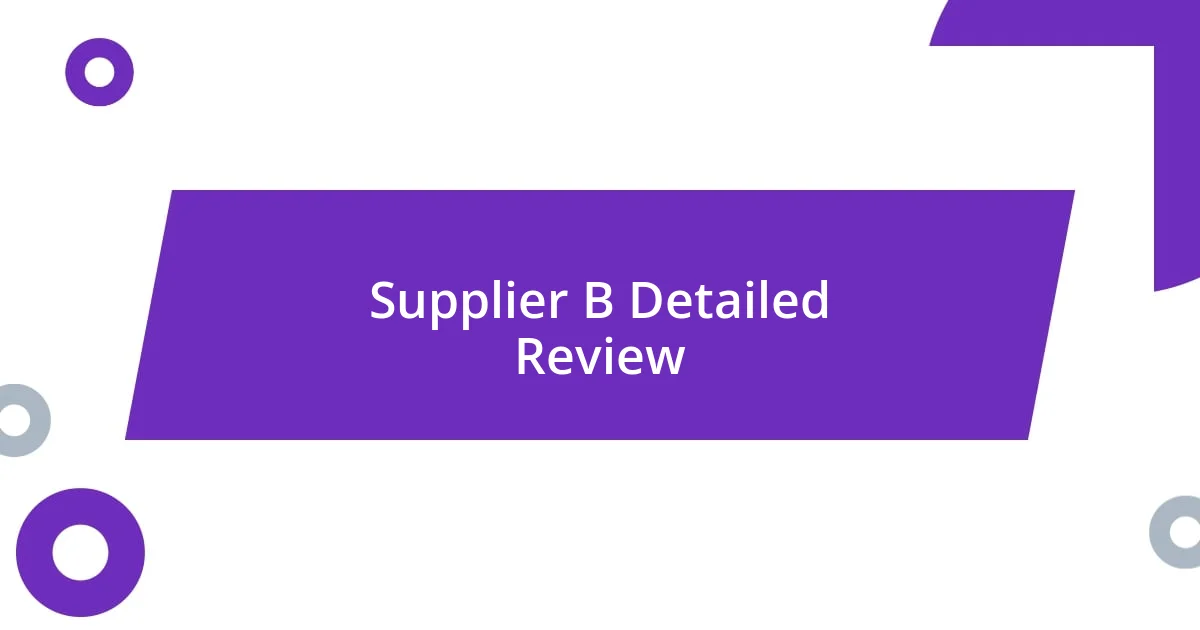 Supplier B Detailed Review